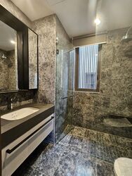 Parksuites (D10), Apartment #577586671